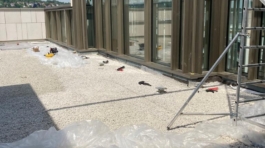 Zdjęcie WhatsApp 2023-10-24 o 21.19.29_2a59748c