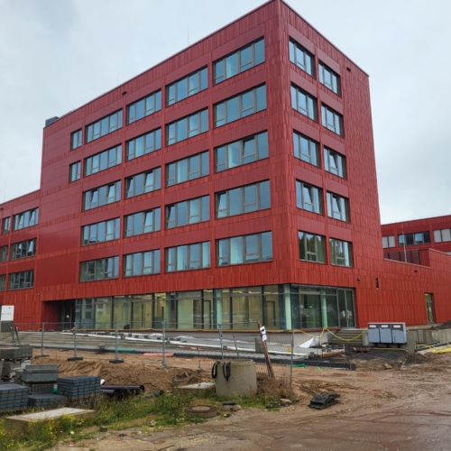 Zdjęcie WhatsApp 2023-10-20 o 19.43.12_6e2d183e