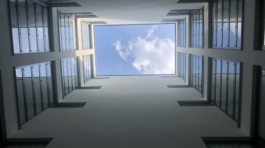 Zrzut ekranu 2023-11-01 232446_clipdrop-enhance